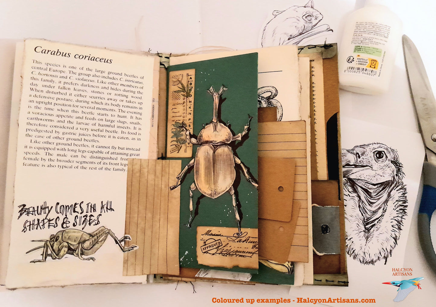 HALLOWEEN CREATURES SKETCHES Digital Printables