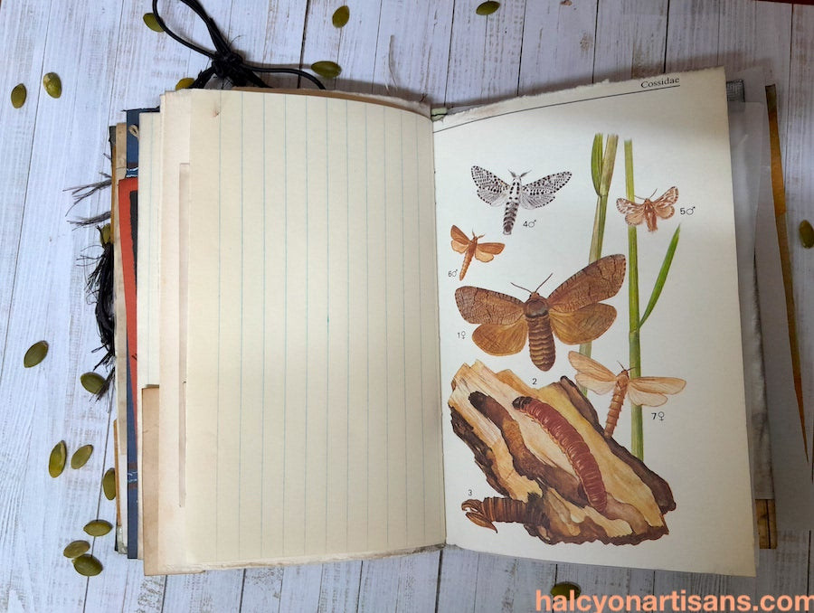 Halloween Creatures Junk Journal