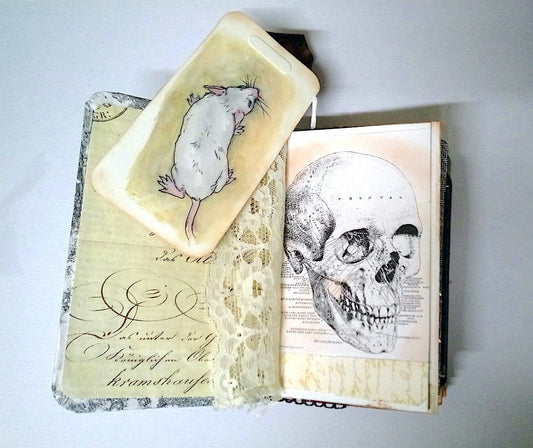Anatomy 1 Journal