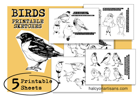 BIRDS SKETCHES Digital Printables