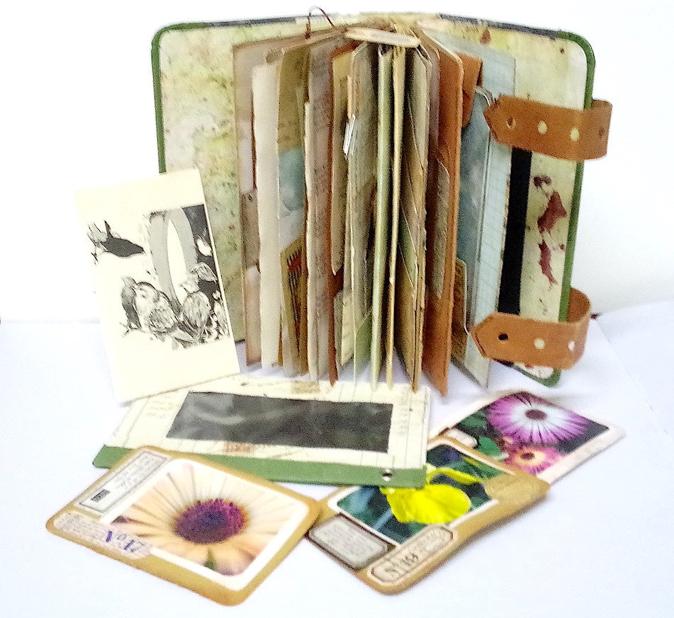 Forest 1 Journal