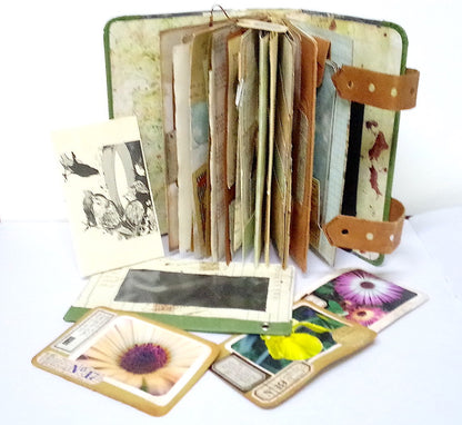 Forest 1 Journal