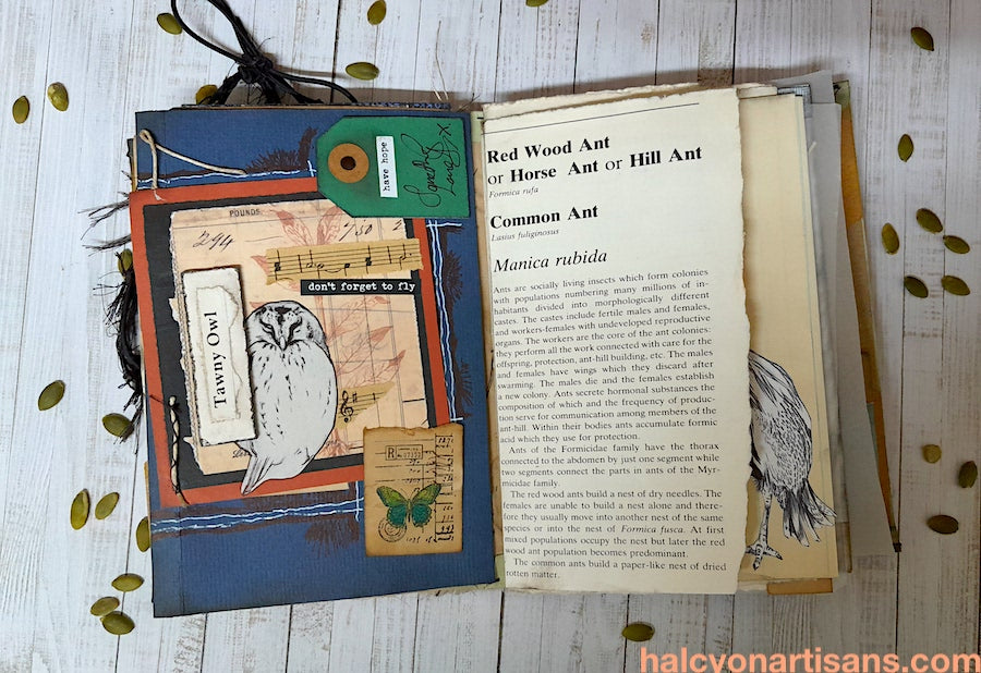 Halloween Creatures Junk Journal